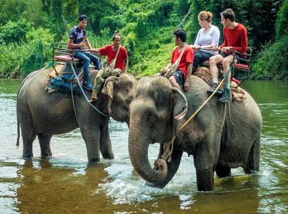 South India Wildlife Tour