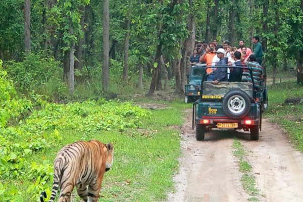 bandipur