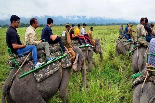 kaziranga-national-park-elephant-safari